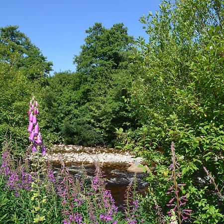 Battanropie Lodge Carrbridge Eksteriør bilde