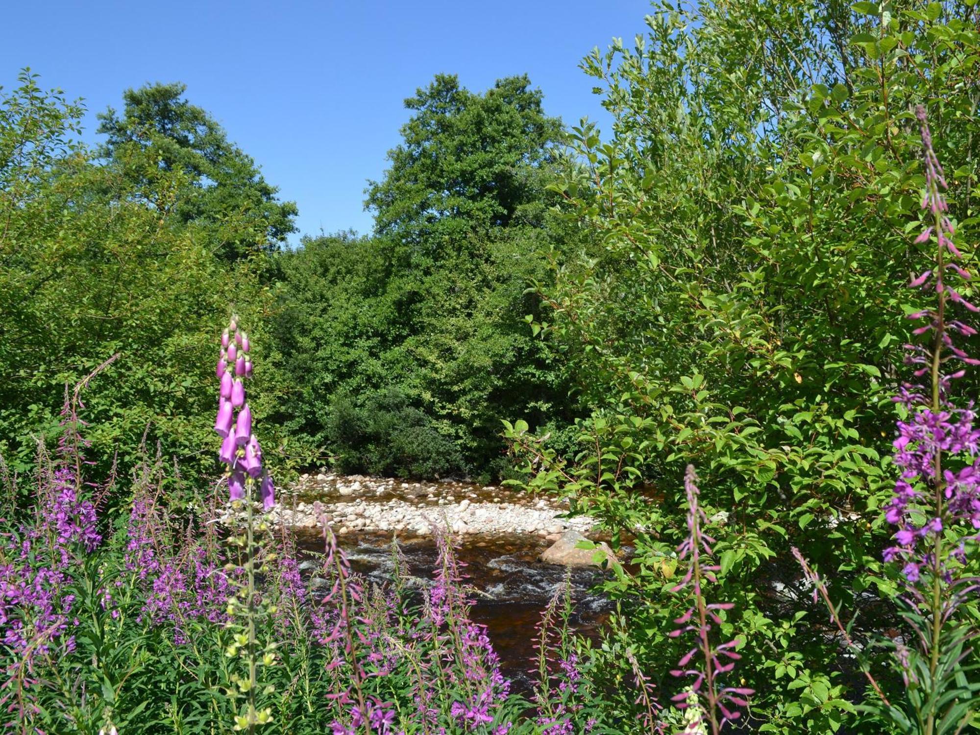 Battanropie Lodge Carrbridge Eksteriør bilde